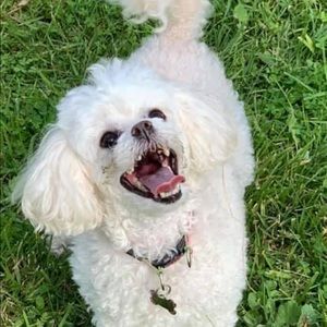 Meet your Posher, Fiona